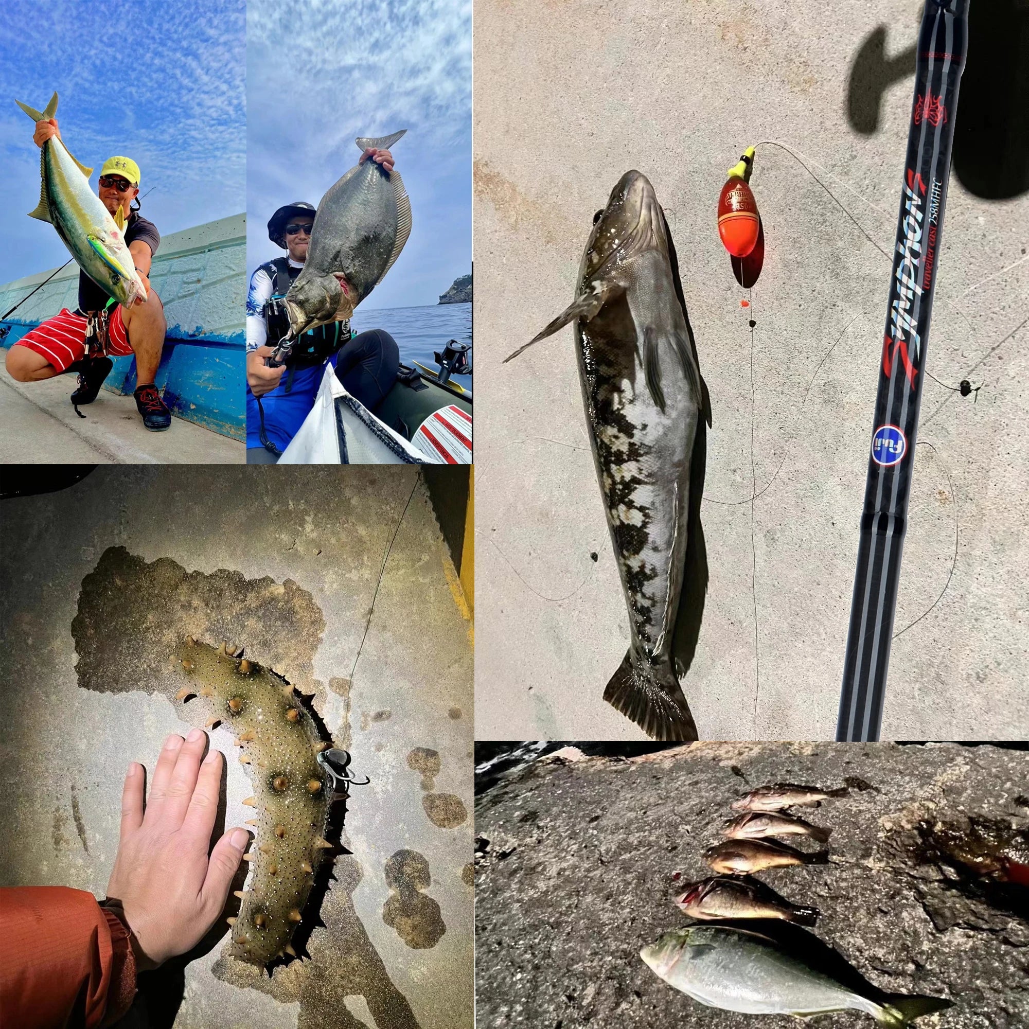 BIUTIFU Carbon Fishing Rod for Travelers - Fuji Lure Spinning Casting Rod 1.8-3.0m 5-42g Ideal for Mini Rock Fishing Baitcasting